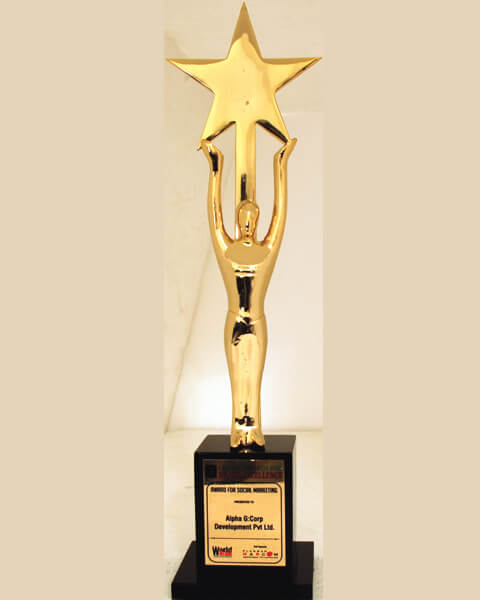 Brand Leadership Award (Overall)